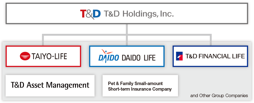 Figure: Profile of the T&D Life Group