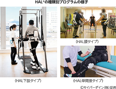 HALの種類別プログラムの様子