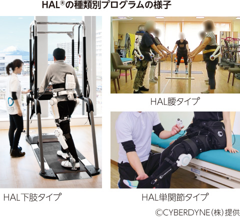 HALの種類別プログラムの様子