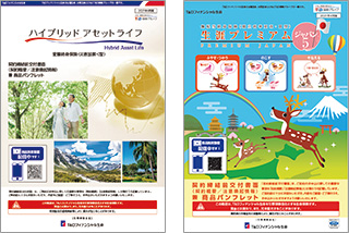 fig:Hybrid Asset Life, Shogai Premium Japan 5