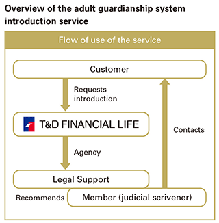 fig:Overview of the adult guardianship system introduction service