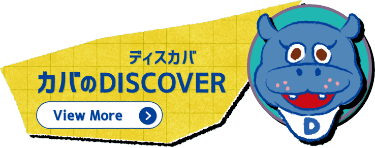 カバのDISCOVER
