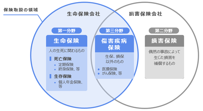 保険取扱の領域