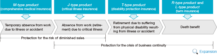 Figure: Providing a Full Range of Protection