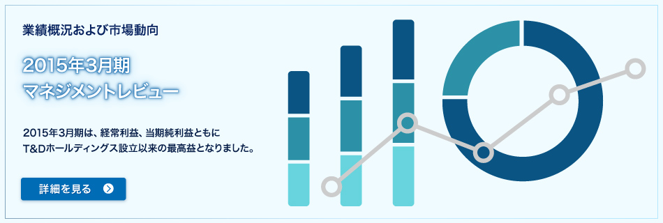 業績概況および市場動向