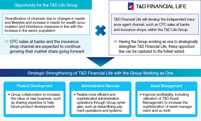 Figure: Opportunity for the T&D Life Group