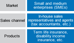 Market: Small and medium enterprises (SMEs) / Sales channel: In-house sales representatives and agents (tax accountants, etc.) / Products: Term life insurance, disability income insurance, etc.
