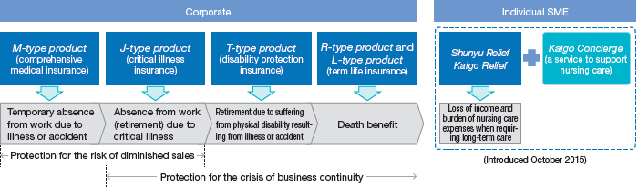 Figure: Providing a Full Range of Protection