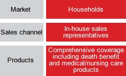 Market: Households / Sales channel: In-house sales representatives / Products: Comprehensive coverage including death benefit and medical/nursing care products