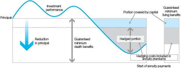 Illustration of risk management using hedging