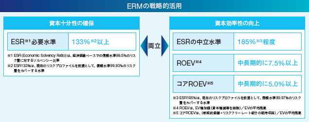 グループ資本政策（ERMの戦略的活用）の図
