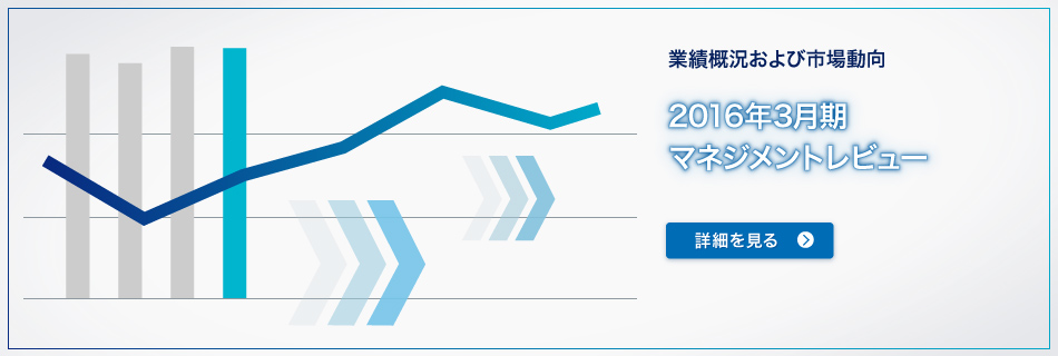 業績概況および市場動向