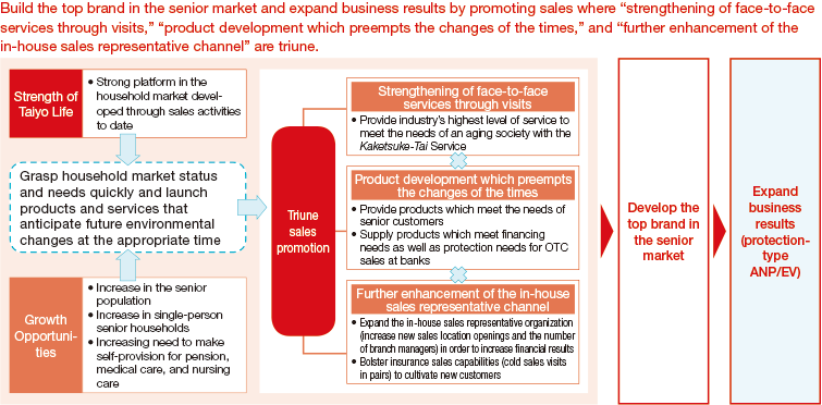 Figure: Marketing Strategy