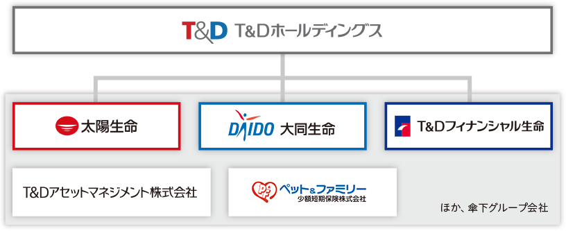 T&D保険グループ　ストラクチャー