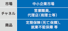 市場：中小企業市場／チャネル：営業職員、代理店（税理士等）／商品：定期保険（死亡保障）、就業不能保障 等