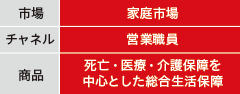 市場：家庭市場／チャネル：営業職員／商品：死亡・医療・介護保障を中心とした総合生活保障